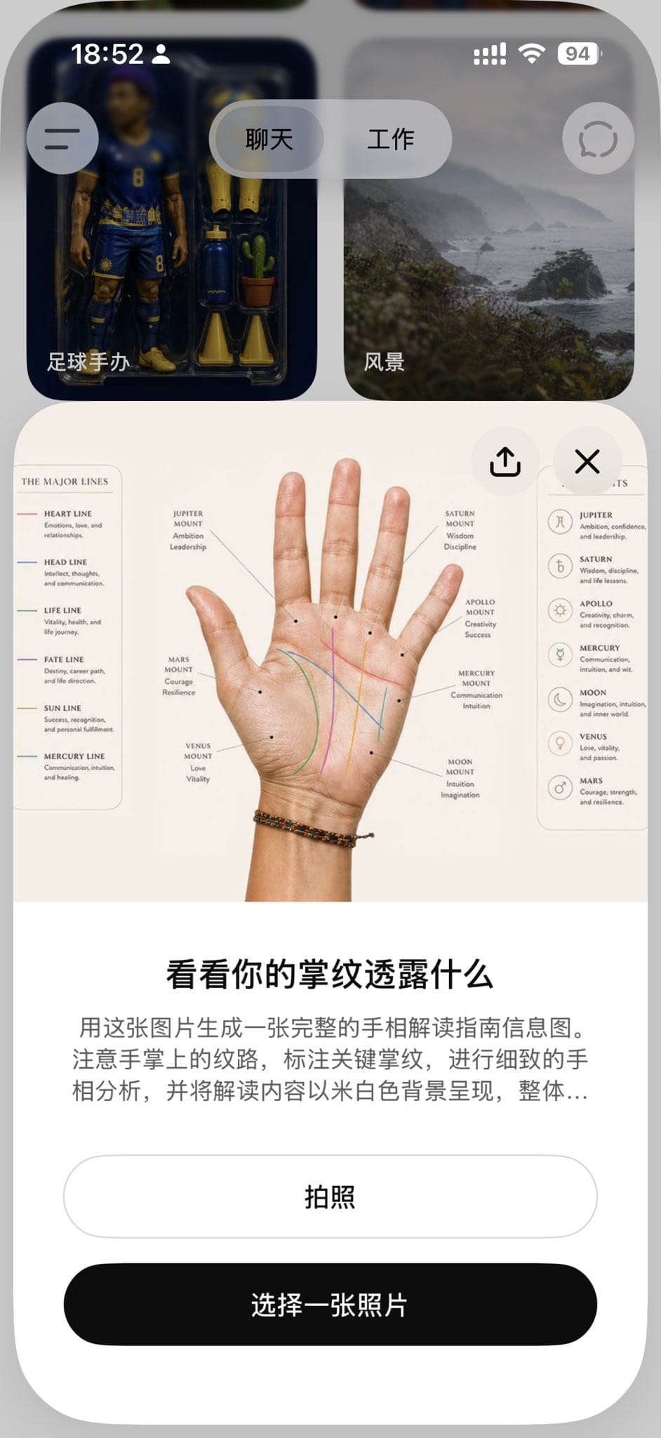 Minimalist Palmistry Guide Infographic