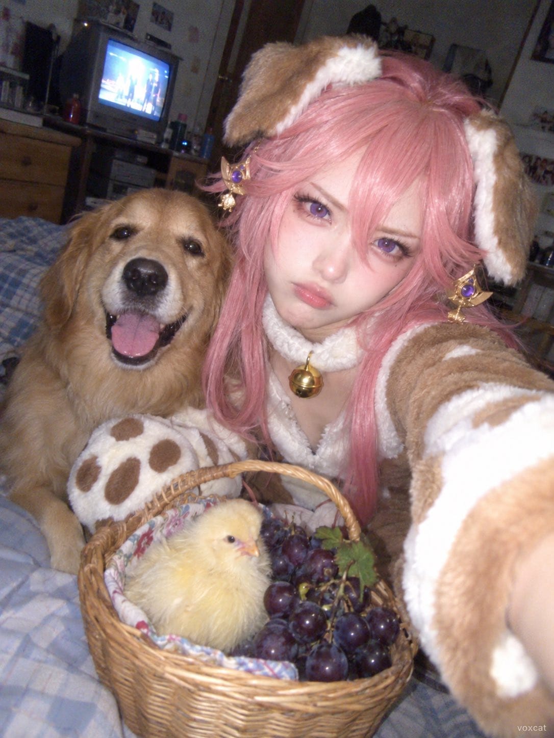 老式诺基亚风格狗狗 Cosplay 自拍