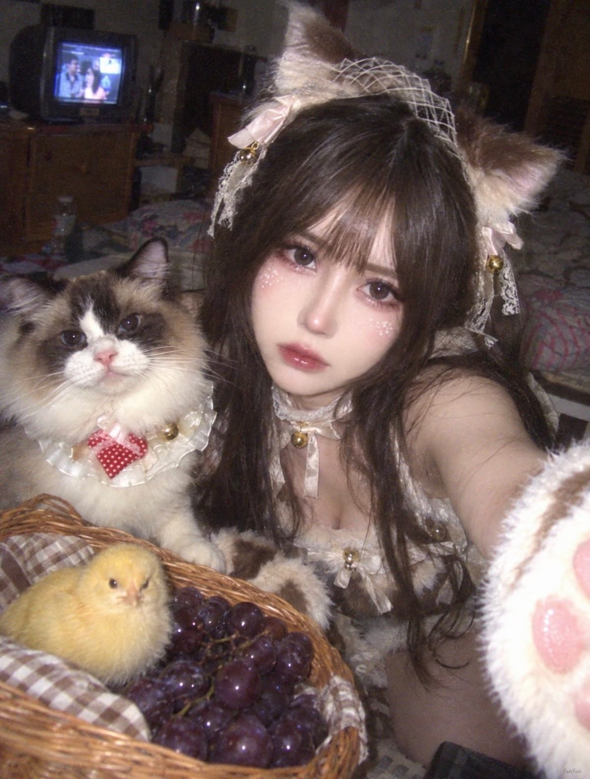 诺基亚手机自拍：布偶猫 Cosplay