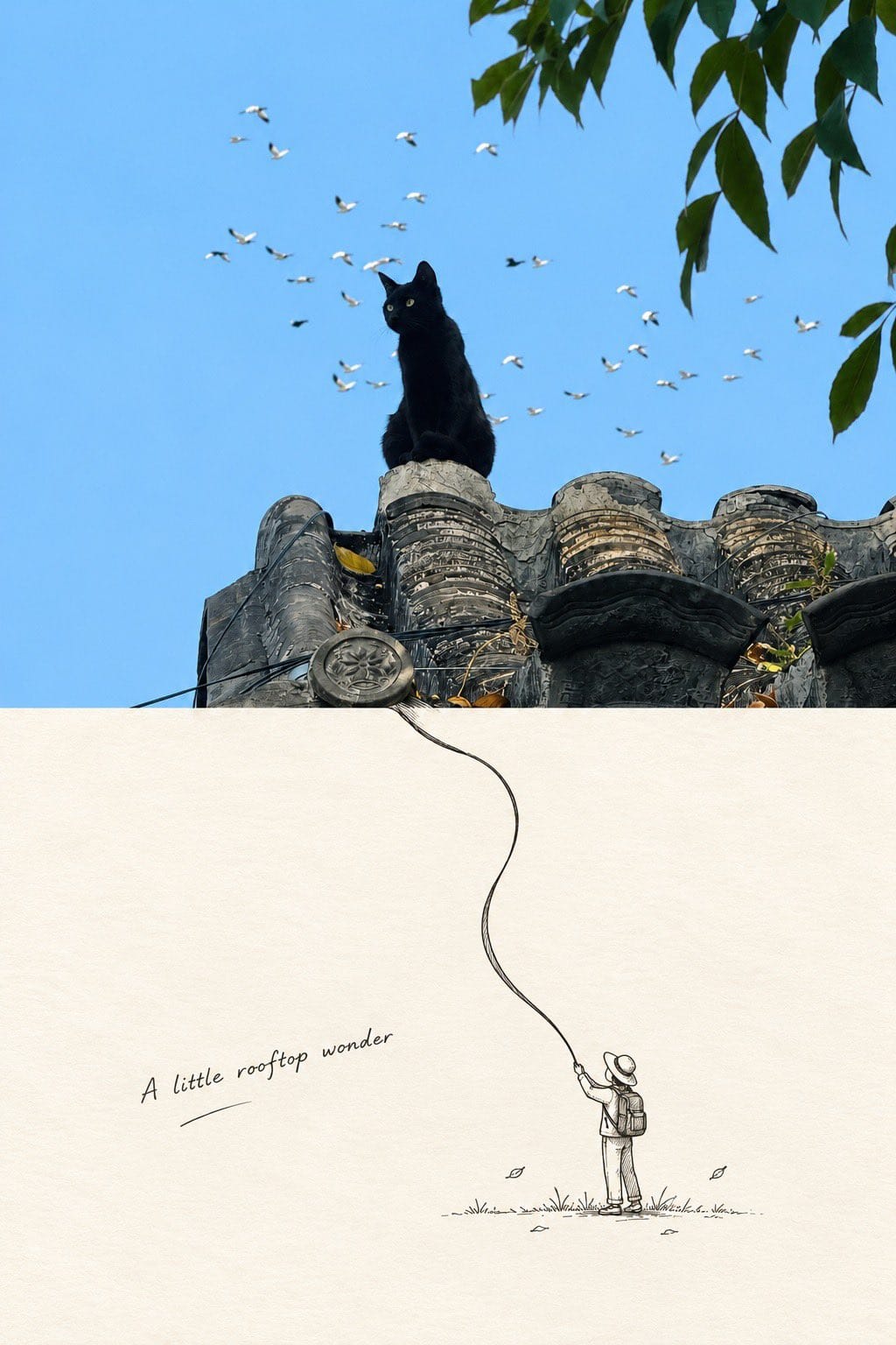 Minimalist Editorial Art Poster with Photo and Ink Illustration Split