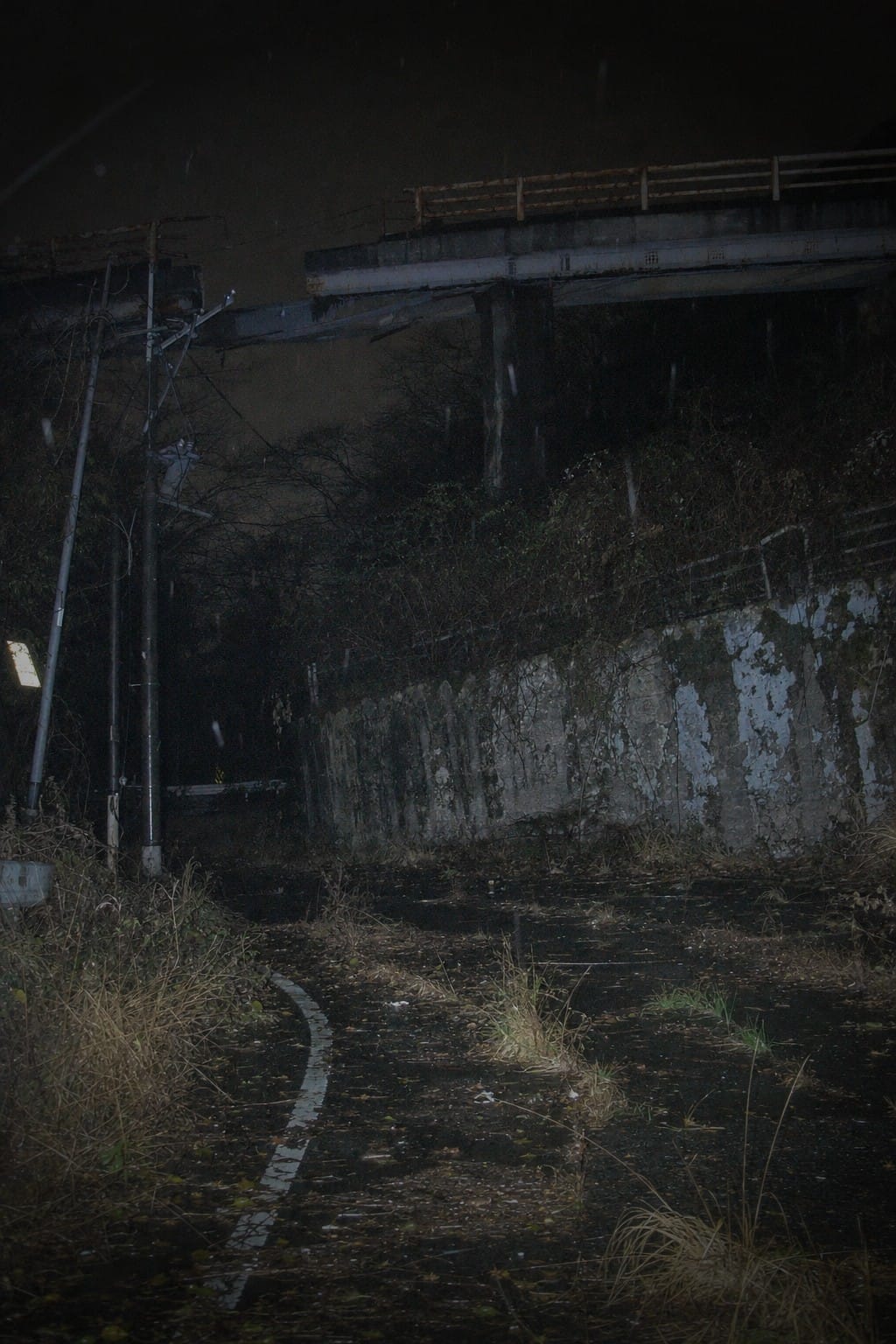 桥下的废弃道路